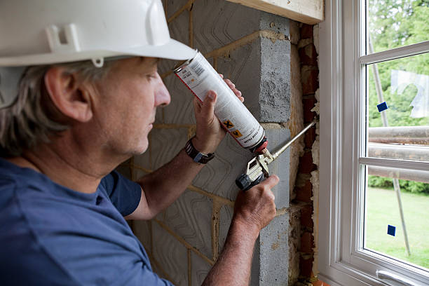 Best Insulation Contractor Near Me  in Lake Barrington, IL